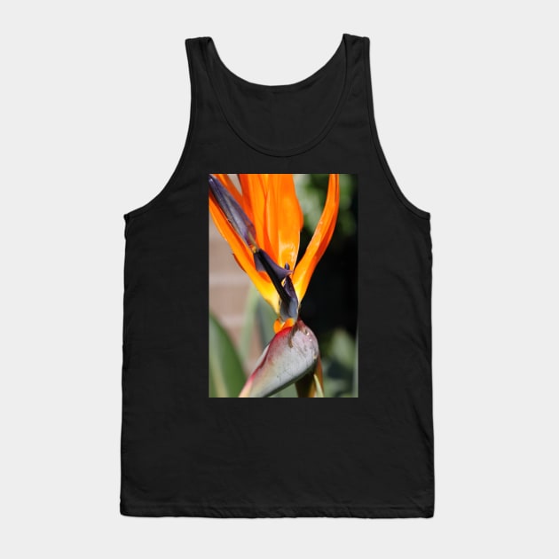 Bird of Paradise or Crane Lily Tank Top by Carole-Anne